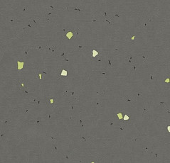 Линолеум Forbo Sphera Energetic 51215 vivid ebony фото 1 | FLOORDEALER